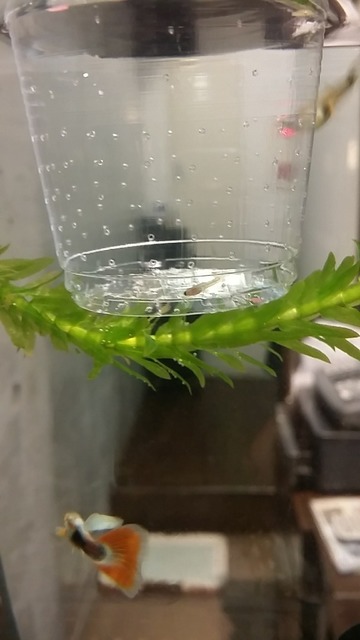 20150312_211115.jpg